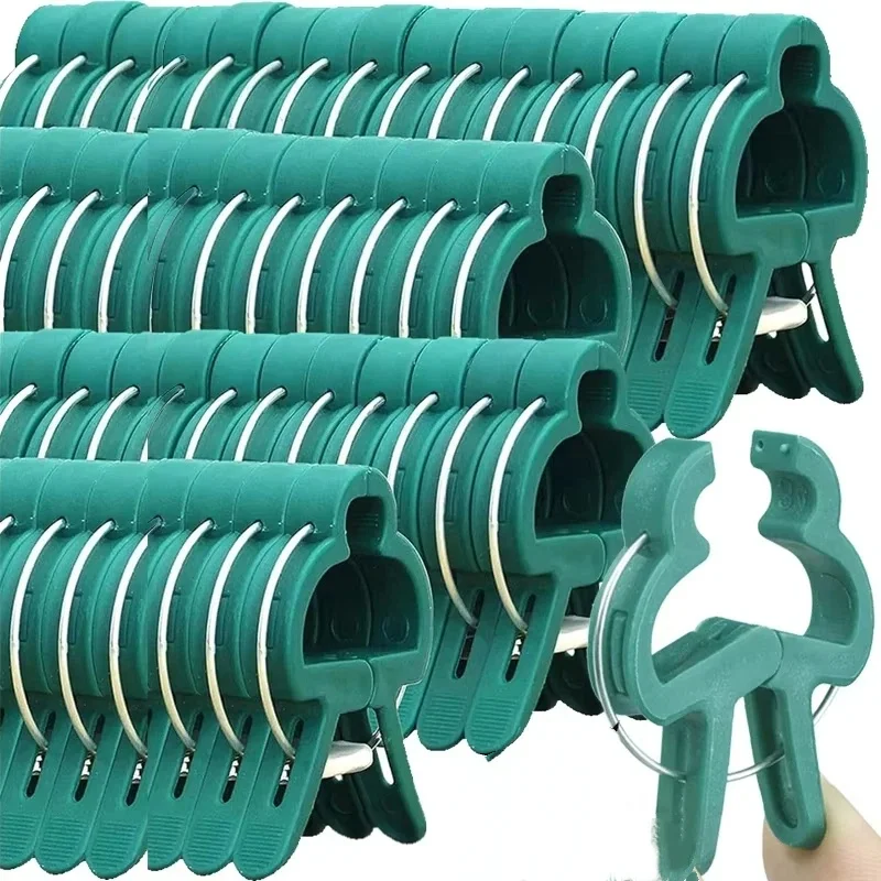 Фиксированные зажимы для расте – обзор и цена Vine Climbing Plastic